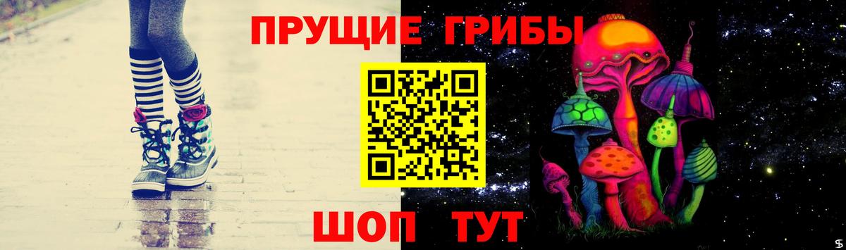 Гулькевичи  купить  сайты  Вход с VPN  Галлюциногенные грибы Psilocybine cubensis 